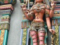 IMG_8584