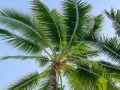 IMG_0205