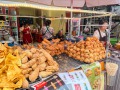 IMG_8779