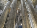 P1200105