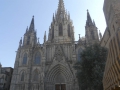 P1200239
