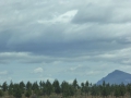 P1360246