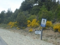 P1360362