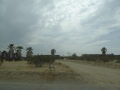 P1120467