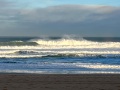 IMG_8911