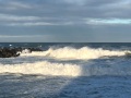 IMG_8918