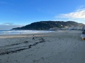 IMG_8922