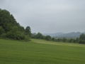 P1160571