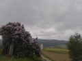 P1160587
