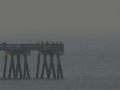 P1020541