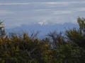 P1050740