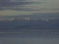 P1050769