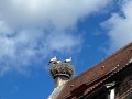 IMG_8116