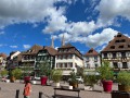 IMG_8121