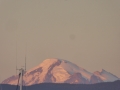 P1140779