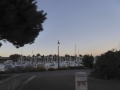 P1140782