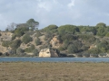 P1170546