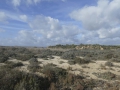 P1170553