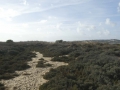 P1170563