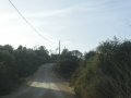 P1170603