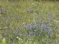 P1100457