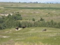P1100504