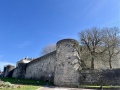 IMG_5015