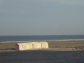 P1020313