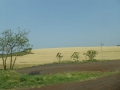 P1190589