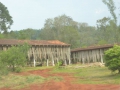 P1190692