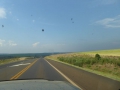 P1190720