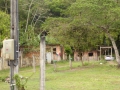P1200015