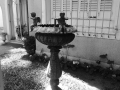 P1300959