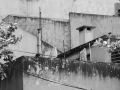 P1300968