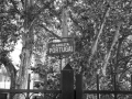P1300985
