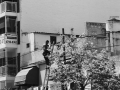 P1310117