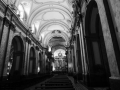 P1310229