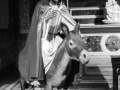 P1310253