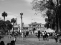 P1310263