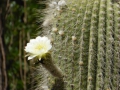 P1240491