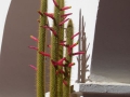 P1240669