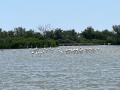 IMG_0802
