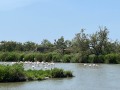 IMG_0815