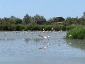 IMG_0826