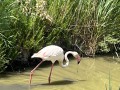 IMG_0846