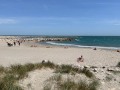 IMG_8069