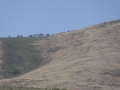 P1110725
