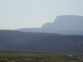 P1110963
