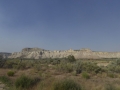 P1110965