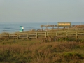 P1020981